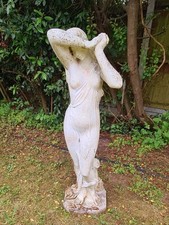 Large shy maiden for sale  COLCHESTER