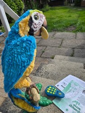 Furreal friend squawkers for sale  LITTLEBOROUGH