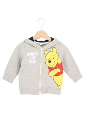 Disney winnie pooh gebraucht kaufen  Deutschland