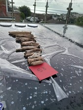 Driftwood craft art for sale  DAWLISH