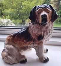 st bernard for sale st bernard for sale LEDBURY