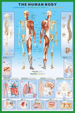 Human body education for sale  BANBURY