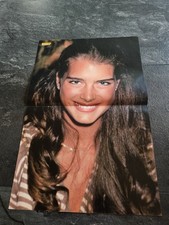 Brooke shields poster gebraucht kaufen  Salzgitter