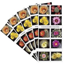 Cactus flowers booklet for sale  Shipping to United Kingdom