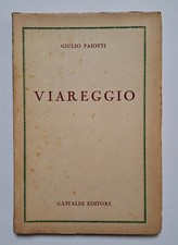 Guida viareggio paiotti usato  Pietrasanta