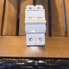 Hager 100a sbn290 for sale  LOUGHTON