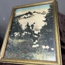 Vintage art print for sale  Grass Lake