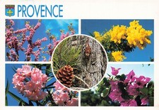 Saint maximin fete d'occasion  France