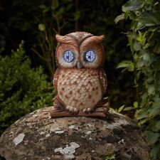 Cute blinkin owl for sale  HARLOW