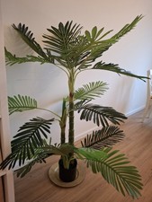 Kunstpflanze 150cm palme gebraucht kaufen Kunstpflanze 150cm palme gebraucht kaufen  Nürnberg