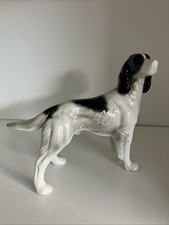 English setter dog for sale  BIRMINGHAM