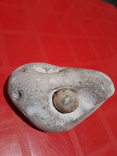 Hag stone double for sale  DAWLISH