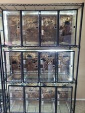 Gallon vertical aquarium for sale  Jacksonville