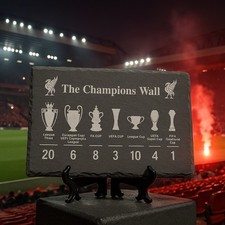 Liverpool champions wall for sale  LLANELLI