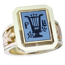 Siegel ring blau gebraucht kaufen  Münster