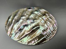 Abalone seashell scarf for sale  Rockford