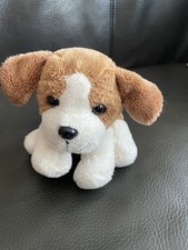 Kleiner bernhardiner hund gebraucht kaufen  Winsen