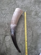 viking drinking horn for sale  CATTERICK GARRISON
