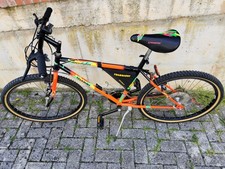 Bici mountain bike usato  Sarnano
