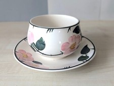 Villeroy boch wildrose gebraucht kaufen  Kühbach