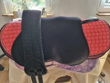 Verkaufe massimo gebrauchter gebraucht kaufen  Bogel, Mieheln, Weyer