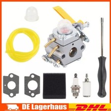 Vergaser kit homelite gebraucht kaufen  Aspisheim, Grolsheim