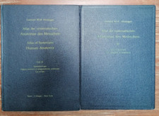 Atlas systematischen anatomie gebraucht kaufen  Ganderkesee