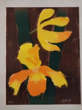 Lithographie orchidées bernar d'occasion  Mezzavia