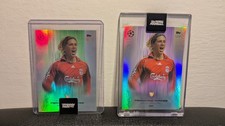 Fernando torres liverpool usato  Cattolica