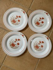 Orange poppies dinner for sale  WINCHESTER
