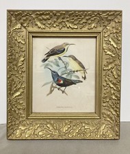Vintage 5x6 ornate for sale  Manitowoc
