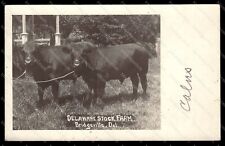 Bull calves bridgeville for sale  Mediapolis