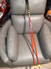 Leki worldcup hts for sale  Phoenix