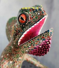 Oaxacan alebrije wood for sale  Grafton