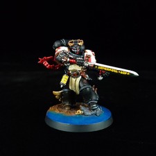 Emperor champion black for sale  BUCKINGHAM