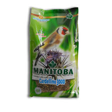 Manitoba cardellino 3000 usato  Fasano