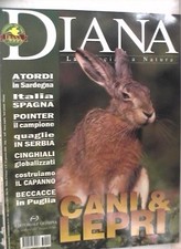 Diana 2003 cani usato  Salerno