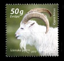Iceland 2013 ram for sale  Renton