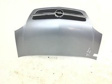 Motorhaube pel meriva gebraucht kaufen  Rudelzhausen