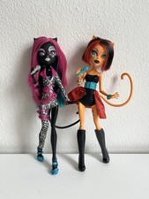 Monster high fierce gebraucht kaufen  Kümmersbruck
