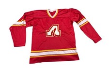 Vintage atlanta flames for sale  Avondale