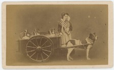 Cdv circa 1870. d'occasion  Paris XIII