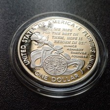 Moneta usa dollaro usato  Riolo Terme