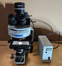 Olympus bx53 fluorescence for sale  Lenexa