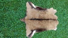 deko ziege gebraucht kaufen deko ziege gebraucht kaufen Landshut