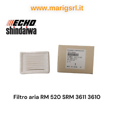 Filtro aria echo usato  Vallo della Lucania