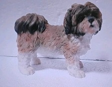 Leonardo collection shih for sale  SCUNTHORPE