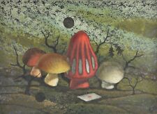 Gianfranco rontani funghi usato  Torino