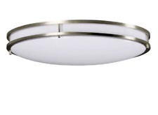 Oval ceiling light for sale  Green Bay