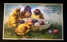 Cute easter chicks for sale  Saint Augustine
